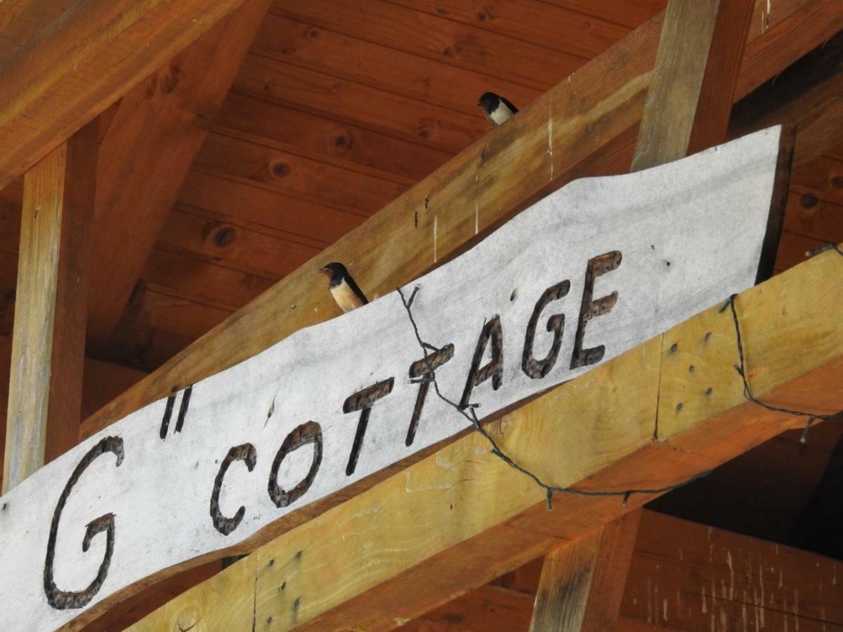 Exo Log Cottage Jezero  Luaran gambar